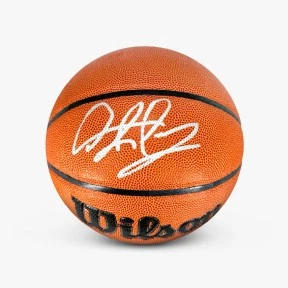 Bola de basquete